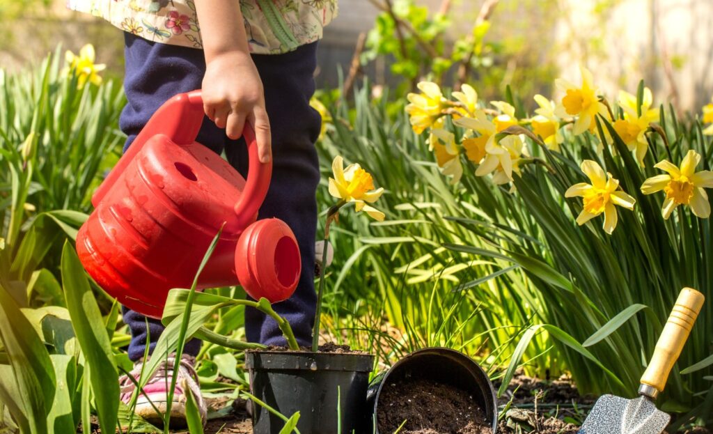 Modèle de jardin potager : Le potager réalisé à partir d’arrosoir 