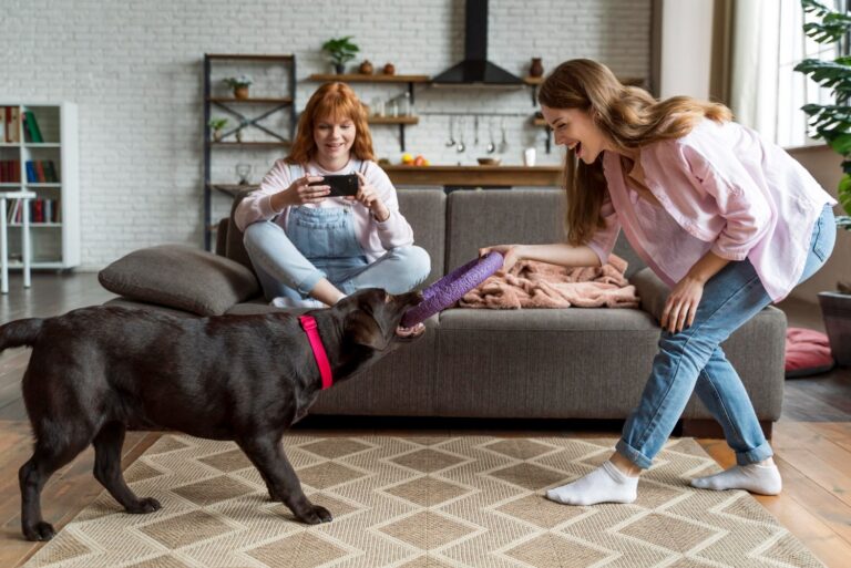 Chien à donner cause déménagement 