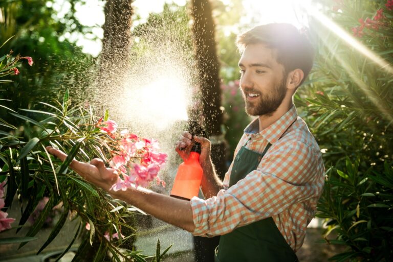 Concevoir un jardin à faible entretien : astuces pour minimiser l’effort tout en maximisant la beauté