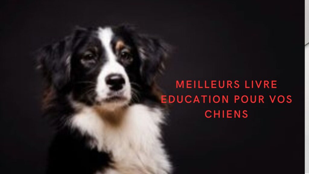 Les Meilleurs Livres Education de chien