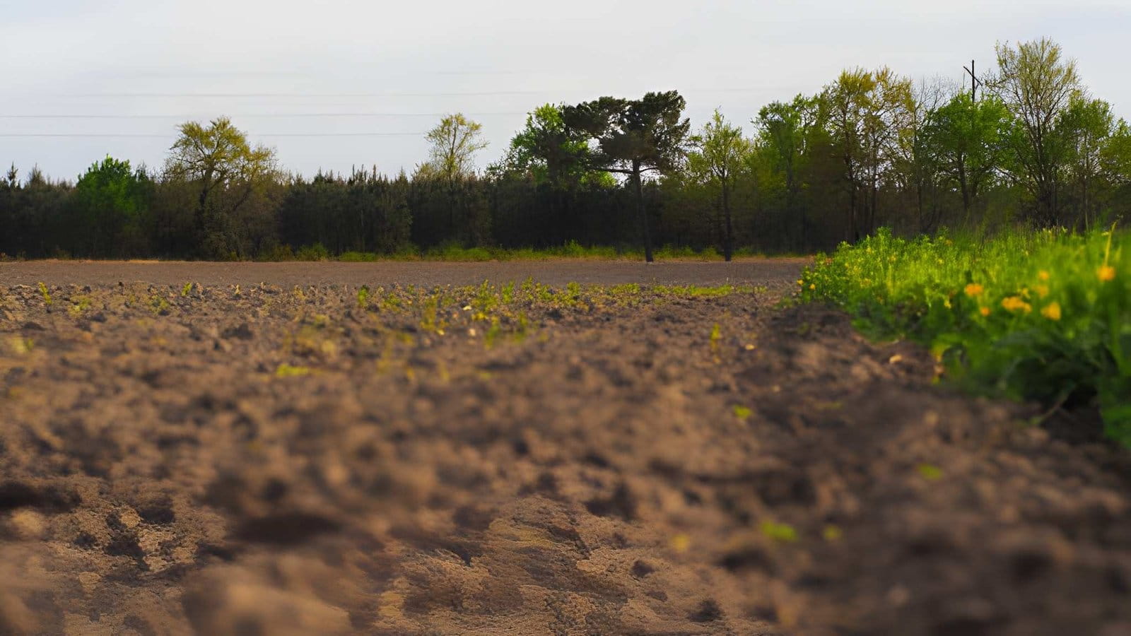 1 hectare en m² : conversion et calcul de superficie